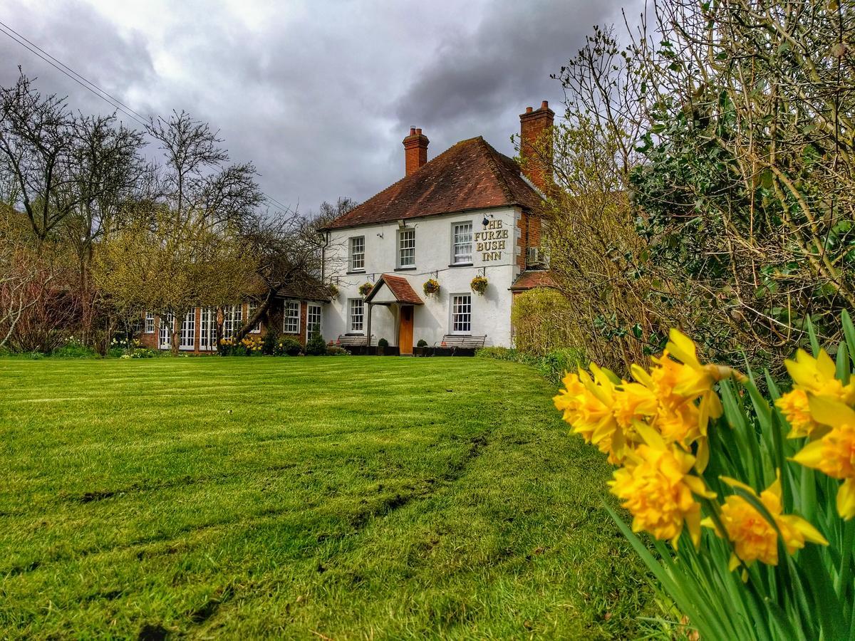 The Furze Bush Inn Newbury  Bagian luar foto